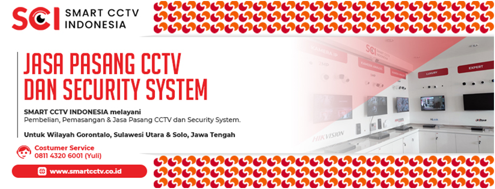 Dvr best sale dan nvr